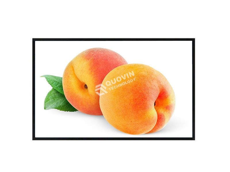 Wall Mounted Digital Signage